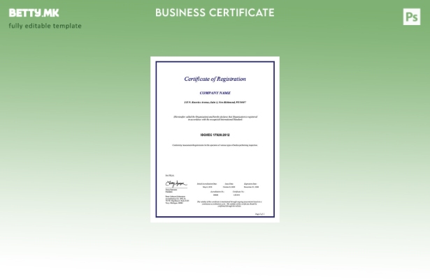 Модерен стил САД Мичиген сертификат за регистрација Шаблон за Word и PDF